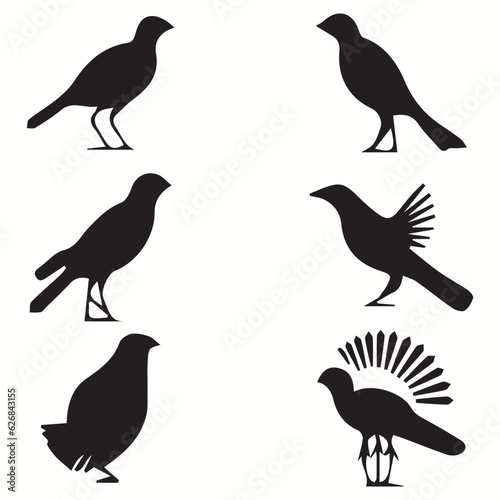Discus silhouettes and icons. Black flat color simple elegant Discus animal vector and illustration.