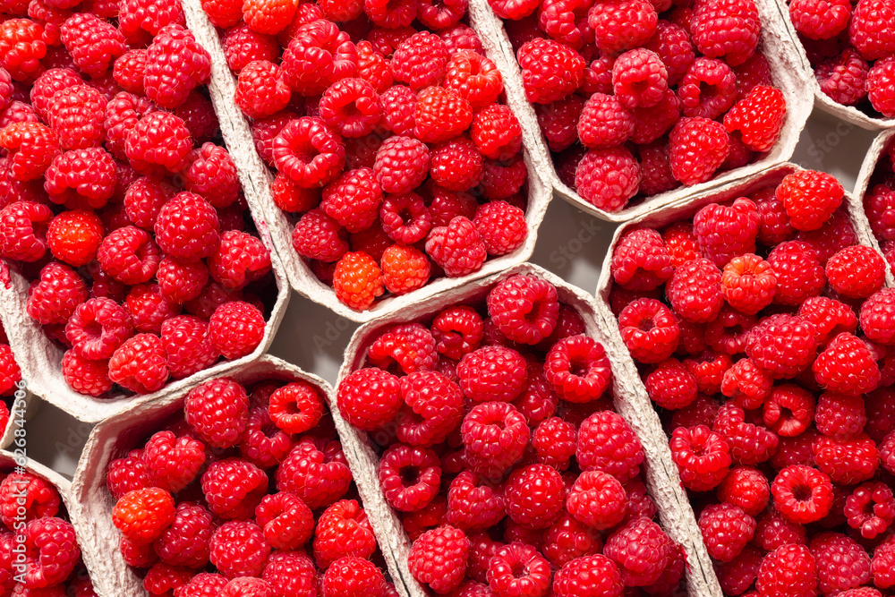 Fresh picked organic raspberries in baskets on white Fresh picked organic raspberries in baskets on white