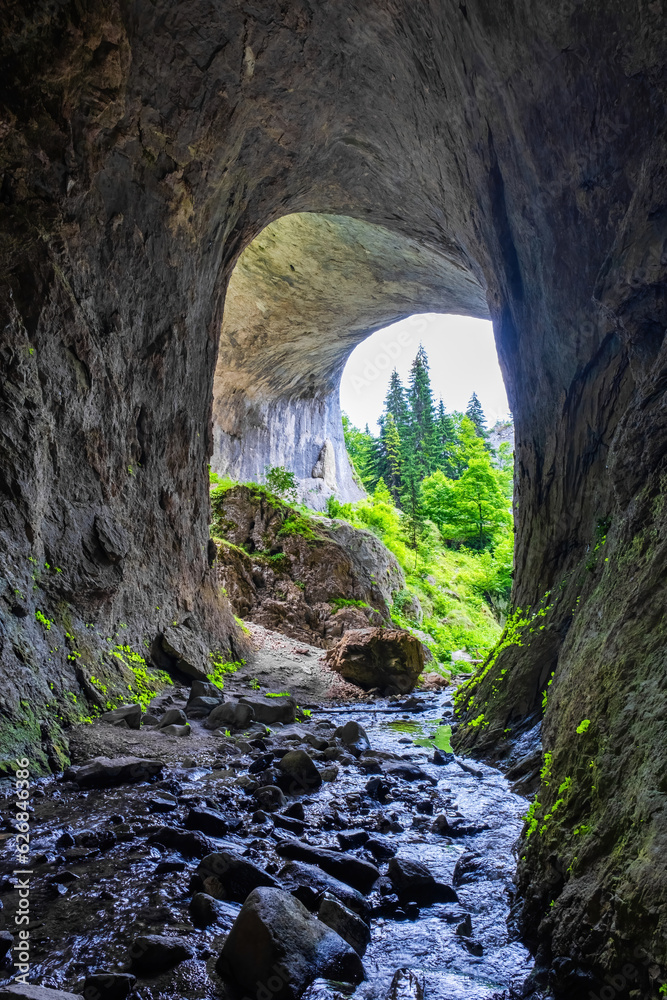 Obraz premium The Wonderful Bridges in Bulgaria, Rhodope Mountains