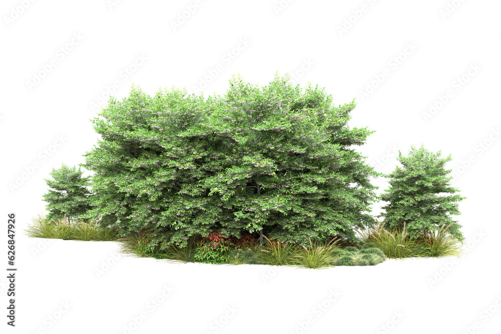 Green landscape isolated on transparent background. 3d rendering - illustration