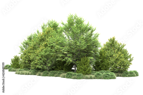 Green landscape isolated on transparent background. 3d rendering - illustration