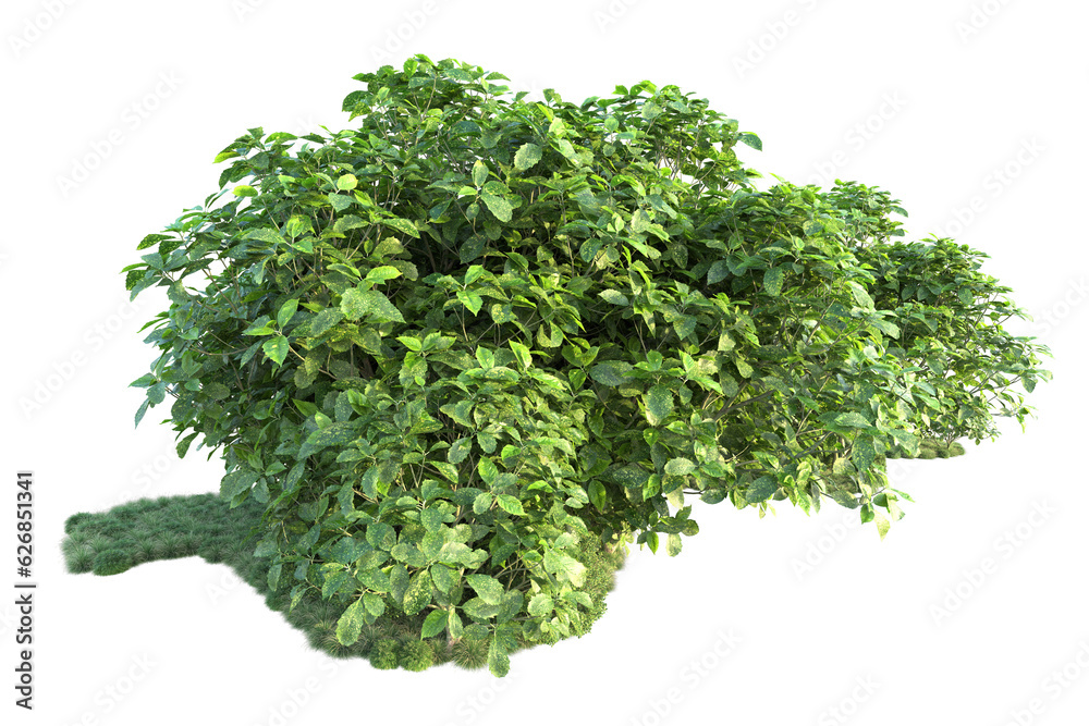 Obraz premium Green landscape isolated on transparent background. 3d rendering - illustration