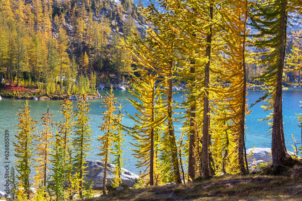 Fototapeta premium Alpine lake