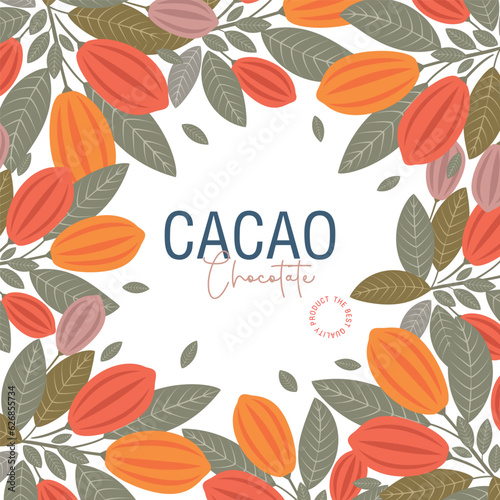 Cocoa bean illustration. Vintage style design template. chocolate cocoa beans. Vector illustration