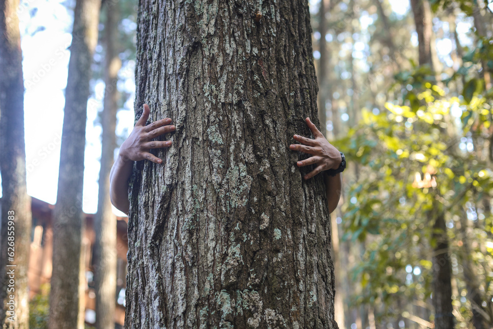 Fototapeta premium Close-up of human's hand hugging tree trunk symbolizing for protecting, care of forest and love nature. Environment, ecology and Earth Day concept