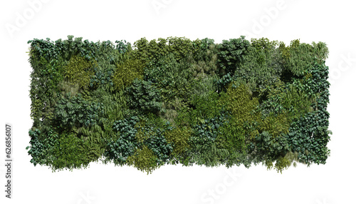 plant garden vertical on a transparent background