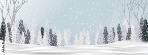 Christmas background with Beautiful Winter landscape scene snowy in woodland with snow covered firs,coniferous forest,Vector Banner Holiday Festive,Sale,Promotion,Greeting Card,Website Header,Poster