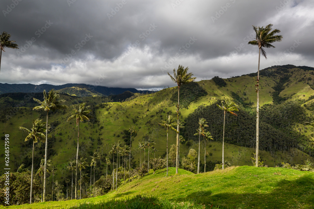 Obraz premium Cocora
