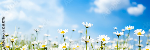 Wiese mit Gänseblümchen. Generiert mit KI 