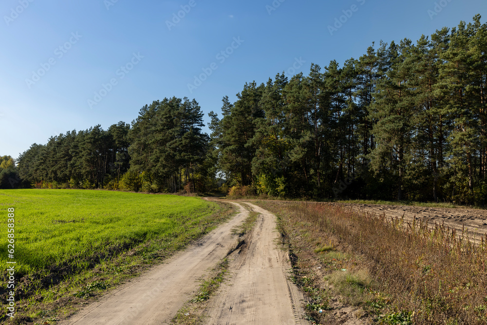 A rural road without asphalt in the autumn season