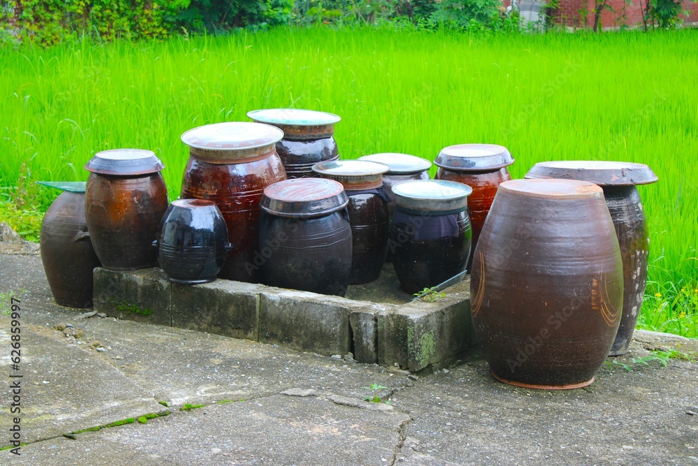 traditional Korean fermentation jars on patio next to rice paddy traditional Korean fermentation jars on patio next to rice paddy