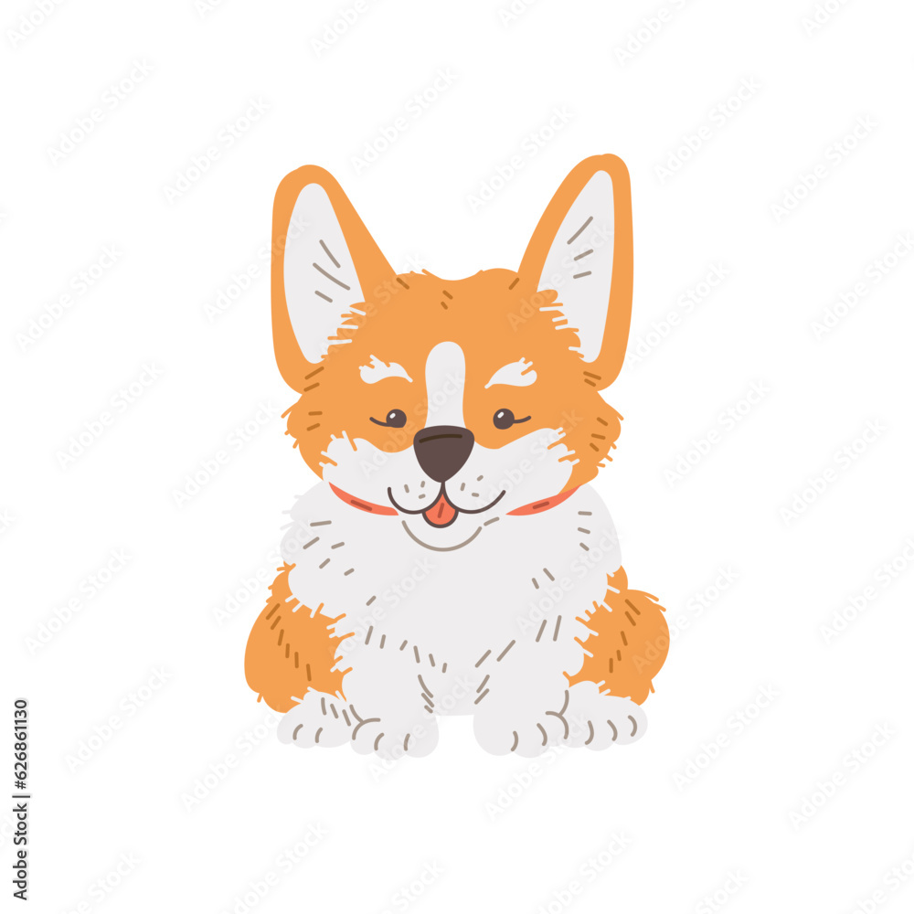 Happy sitting corgi dog front view flat style, vector illustration Happy sitting corgi dog front view flat style, vector illustration
