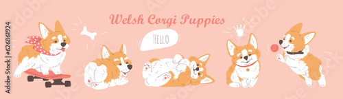 Welsh cartoon Corgi puppy dog in various poses, enjoy ride on skateboard, caressing, playing lovely pets character set