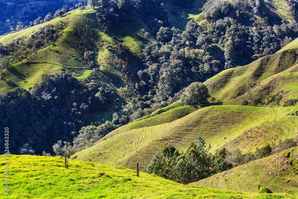 Green hills in Colombia