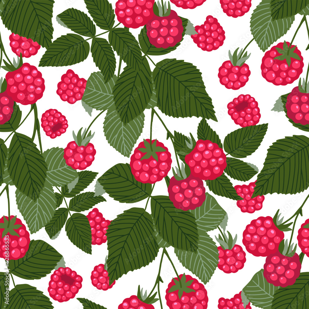 Raspberry vector seamless pattern. Sweet red forest berries and branches with leaves isolated on white. Botanical background. Hand drawn cute cartoon organic natural healthy fruit illustration Raspberry vector seamless pattern. Sweet red forest berries and branches with leaves isolated on white. Botanical background. Hand drawn cute cartoon organic natural healthy fruit illustration