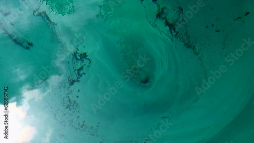 Cold water bubbles up in a cold artesian spring