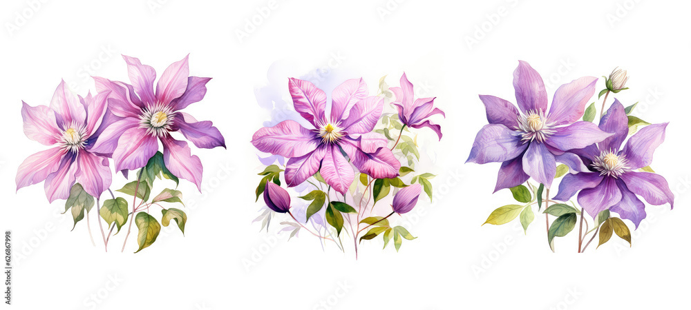 floral clematis flowers watercolor ai generated