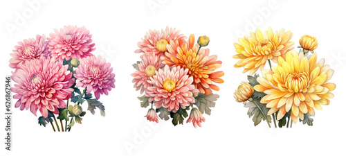 vintage chrysanthemum flowers watercolor ai generated