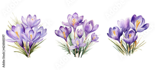 Fototapeta Naklejka Na Ścianę i Meble -  floral crocus flowers watercolor ai generated