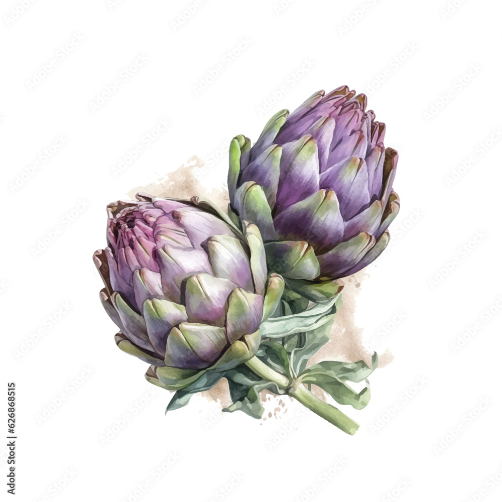 Fototapeta premium Artichokes watercolor paint
