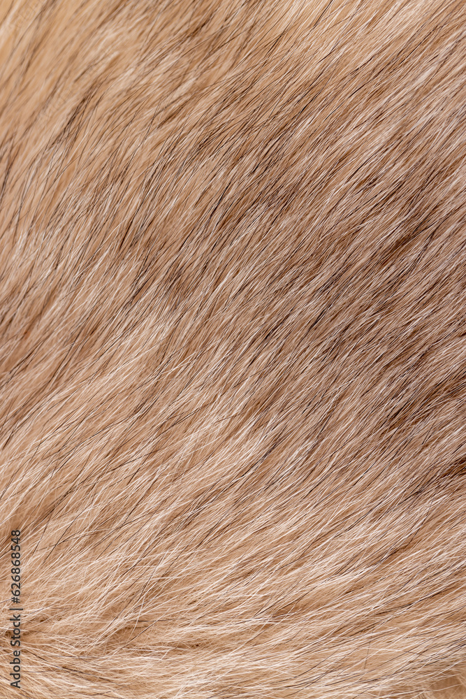 part of a fur coat made of natural beige arctic fox fur