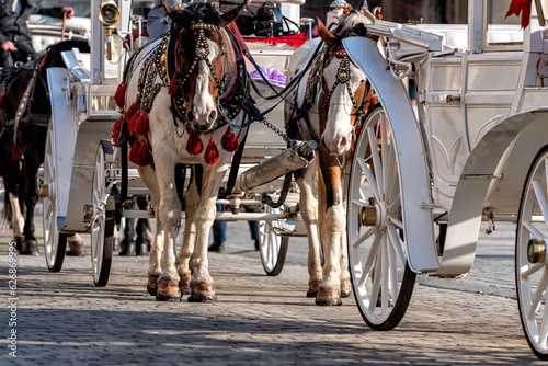 horses with carriage on the main square of Krakow © cameris