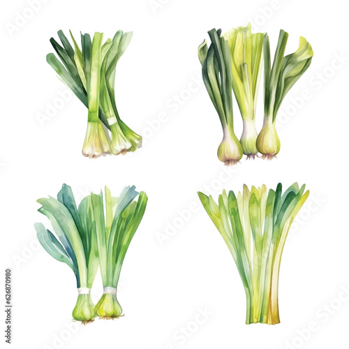  Leeks watercolor paint