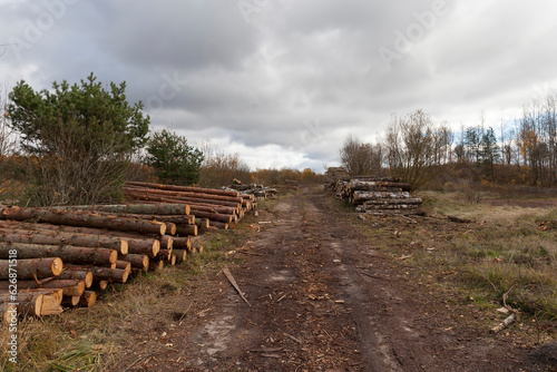 tree felling and wood harvesting in Europe
