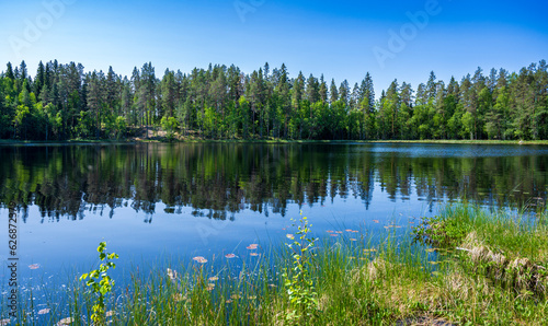 Lake in green forest with blue sky