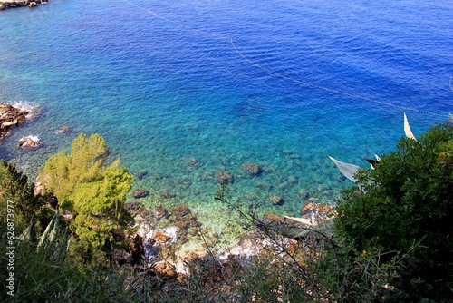 Clear Blue Water Adriatic Sea coastline view with tree, agave, plant and stone in front, Dubrovnik, Croatia