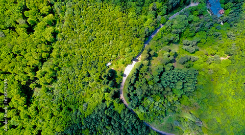The road passing along the dense green forest in the mountains in early spring. Top view from a drone