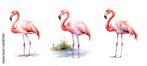 background flamingo watercolor ai generated © sevector