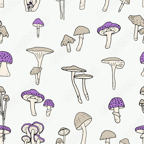 Mushrooms seamless pattern. Edible mushrooms and toadstools. Healthy food background. Autumn forest plants sketches for textiles, wallpaper, coloring, packaging