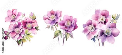 Fototapeta Naklejka Na Ścianę i Meble -  spring hellebore flowers watercolor ai generated