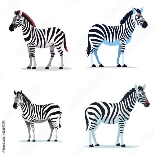 zebra vector illustration