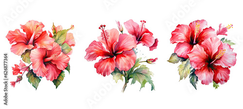 blossom hibiscus flowers watercolor ai generated