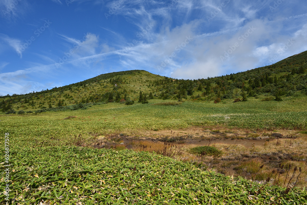 Fototapeta premium Climbing Mount Issaikyo, Tochigi, Japan