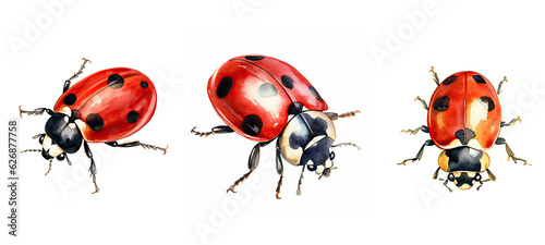 ladybird ladybug watercolor ai generated © sevector