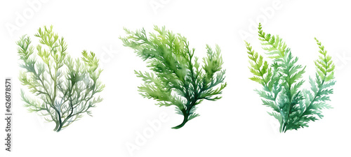 plant milfoil watercolor ai generated