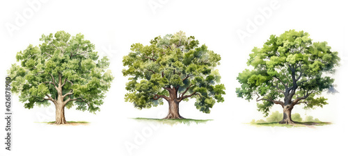 forest oak tree watercolor ai generated
