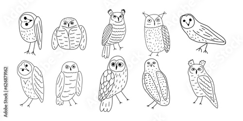 Cute hand drawn outlined owls. Forest birds. Perfect for t-shirt, apparel, cards, poster, nursery decoration. Vector Illustration