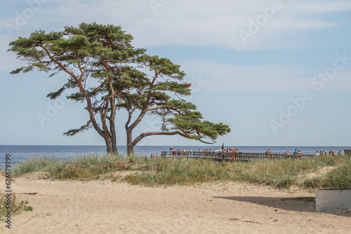 Tranquil Scene by the Ocean in   hus  Sweden