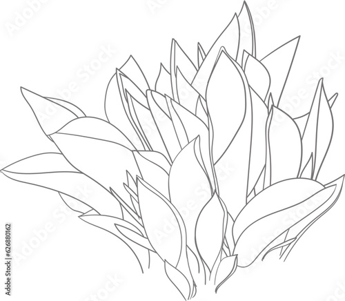 Plant vector illustration. Floral nature hand drawn design. Botanical art drawing.