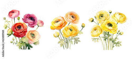 bunch ranunculus flowers watercolor ai generated photo