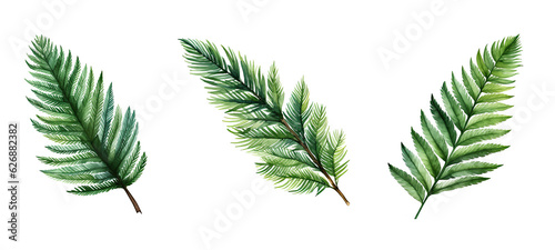 foliage spruce leaf watercolor ai generated
