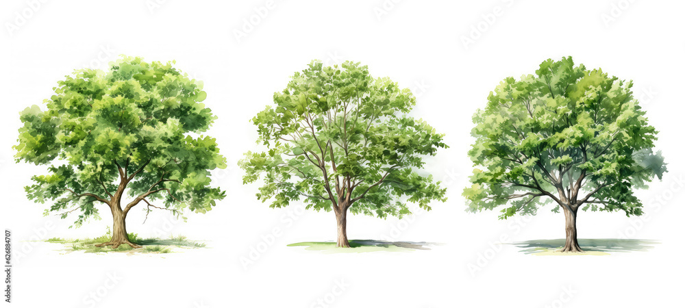 leaf walnut tree watercolor ai generated leaf walnut tree watercolor ai generated