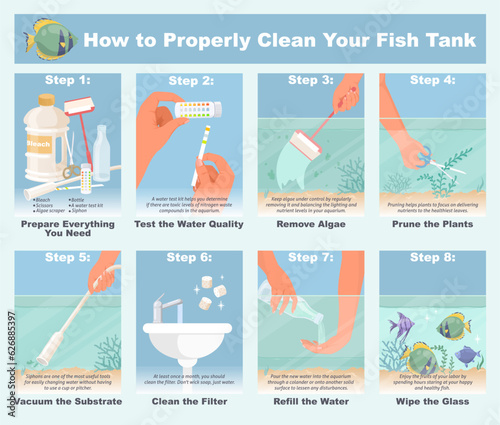 How properly clean fish tank step-by-step infographic photo