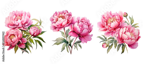 floral colorful peony flowers watercolor ai generated