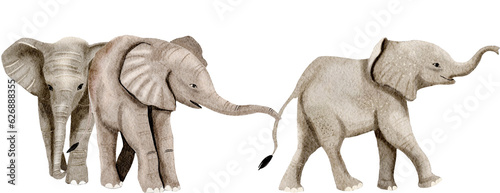 Elephant watercolor wild animals
