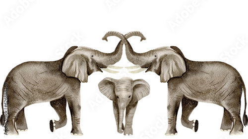 Elephant watercolor,wild animals